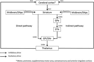 Contribution of TMS and rTMS in the Understanding of the Pathophysiology and in the Treatment of Dystonia